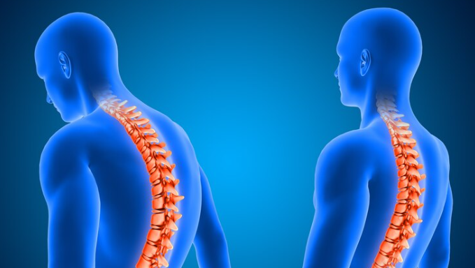 best spine surgeon in hisar